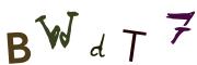 Bild-CAPTCHA
